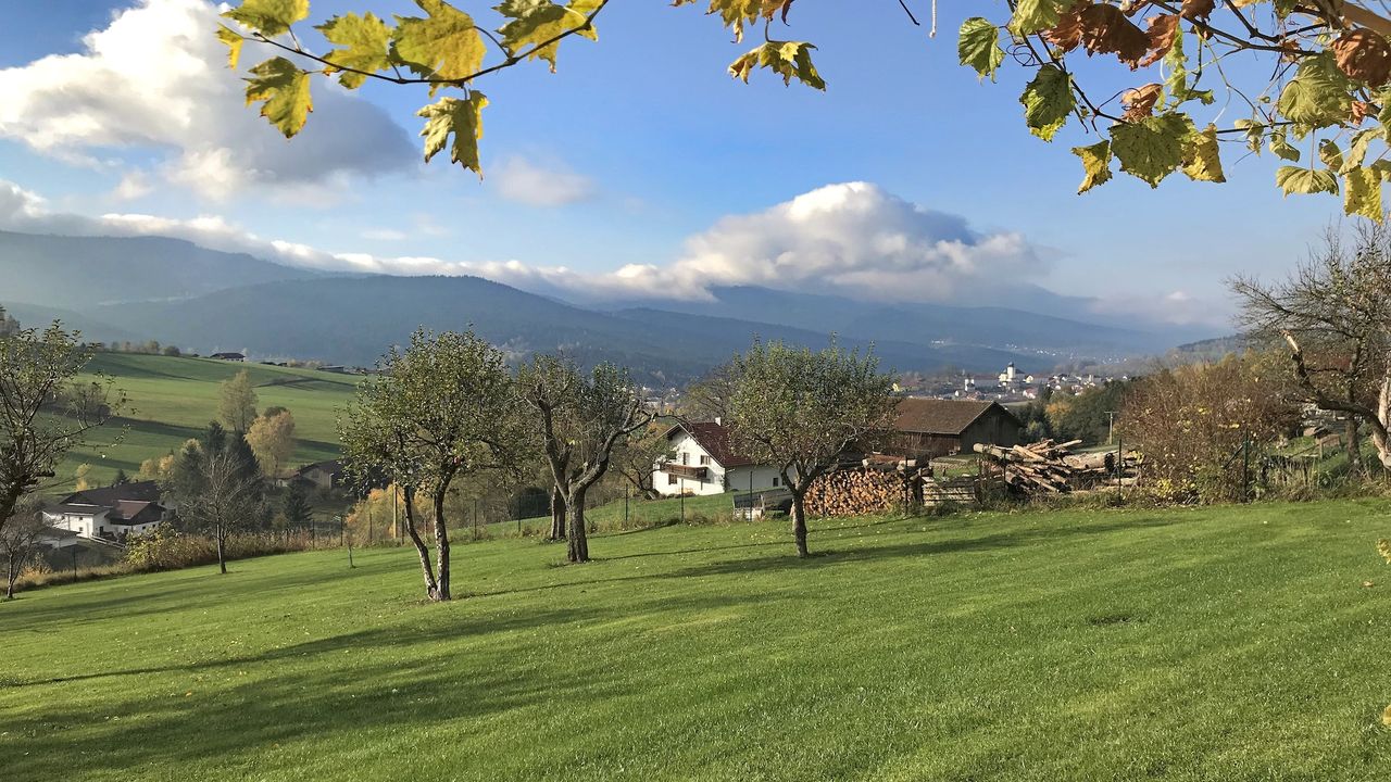 GardenSummer GardenSummer